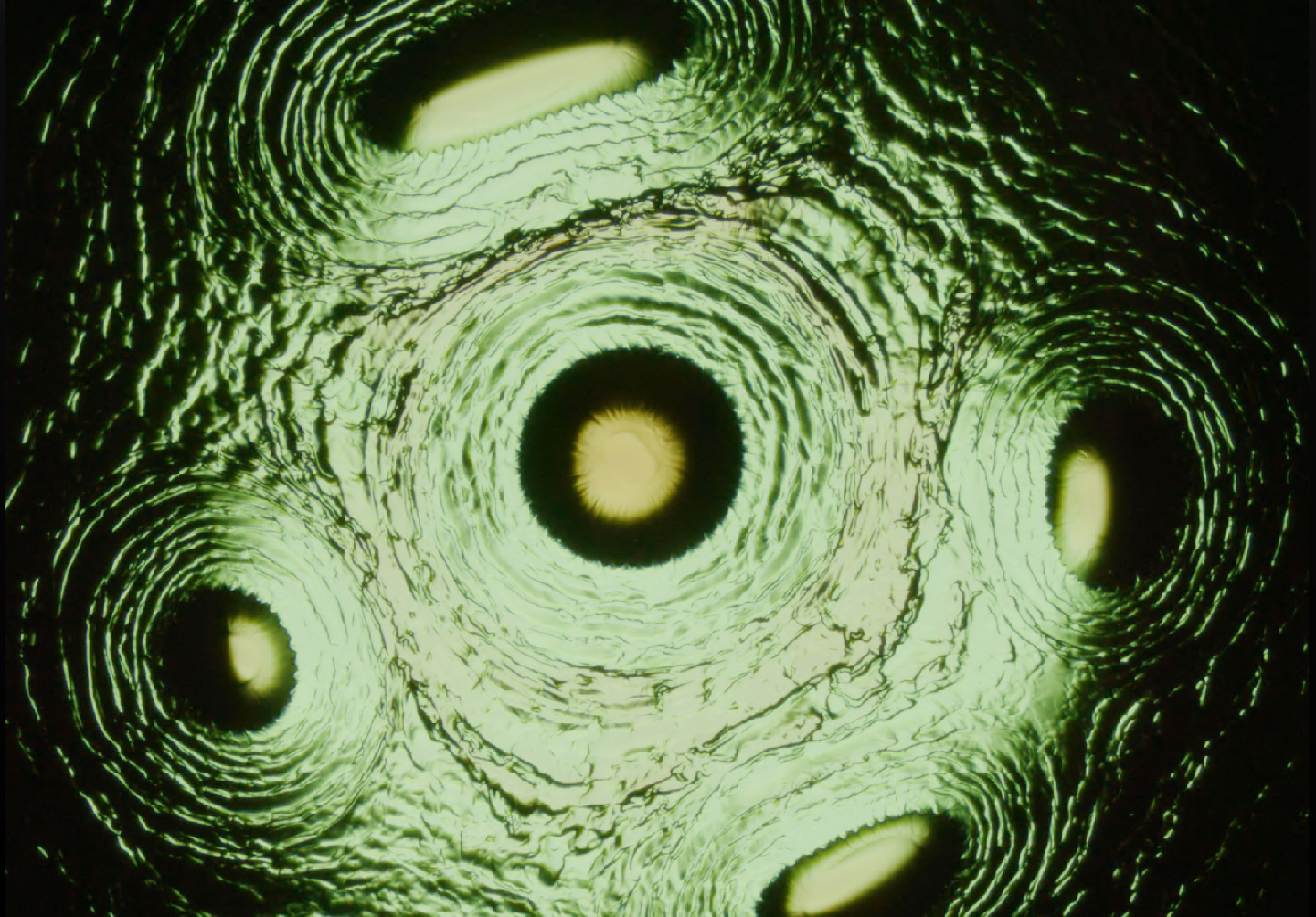 Spider eyes, spooky science image