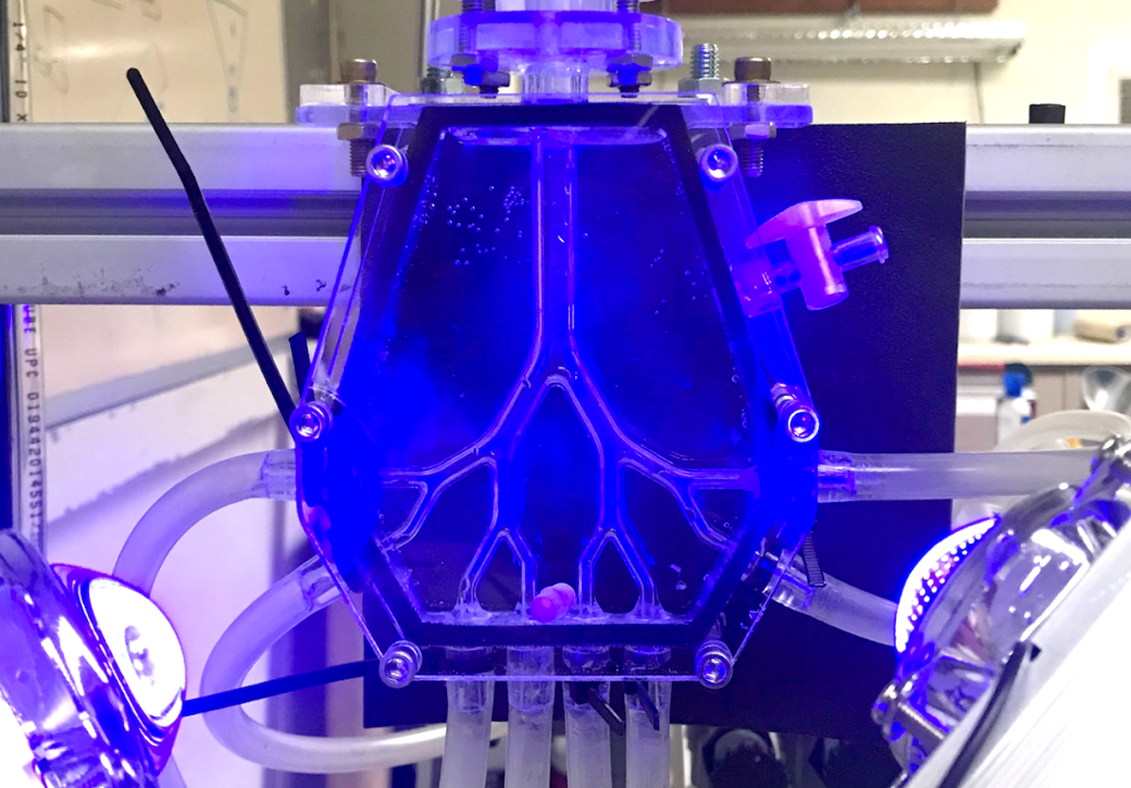 3D-printed model of a blood vessel
