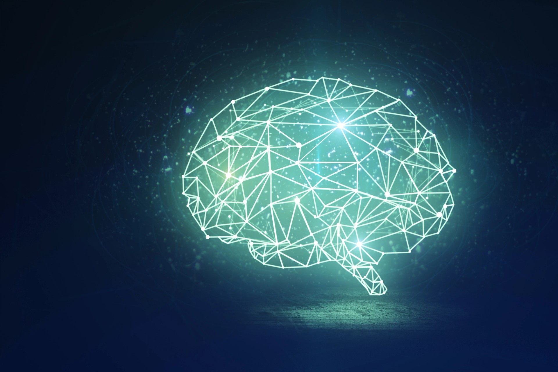brain image
