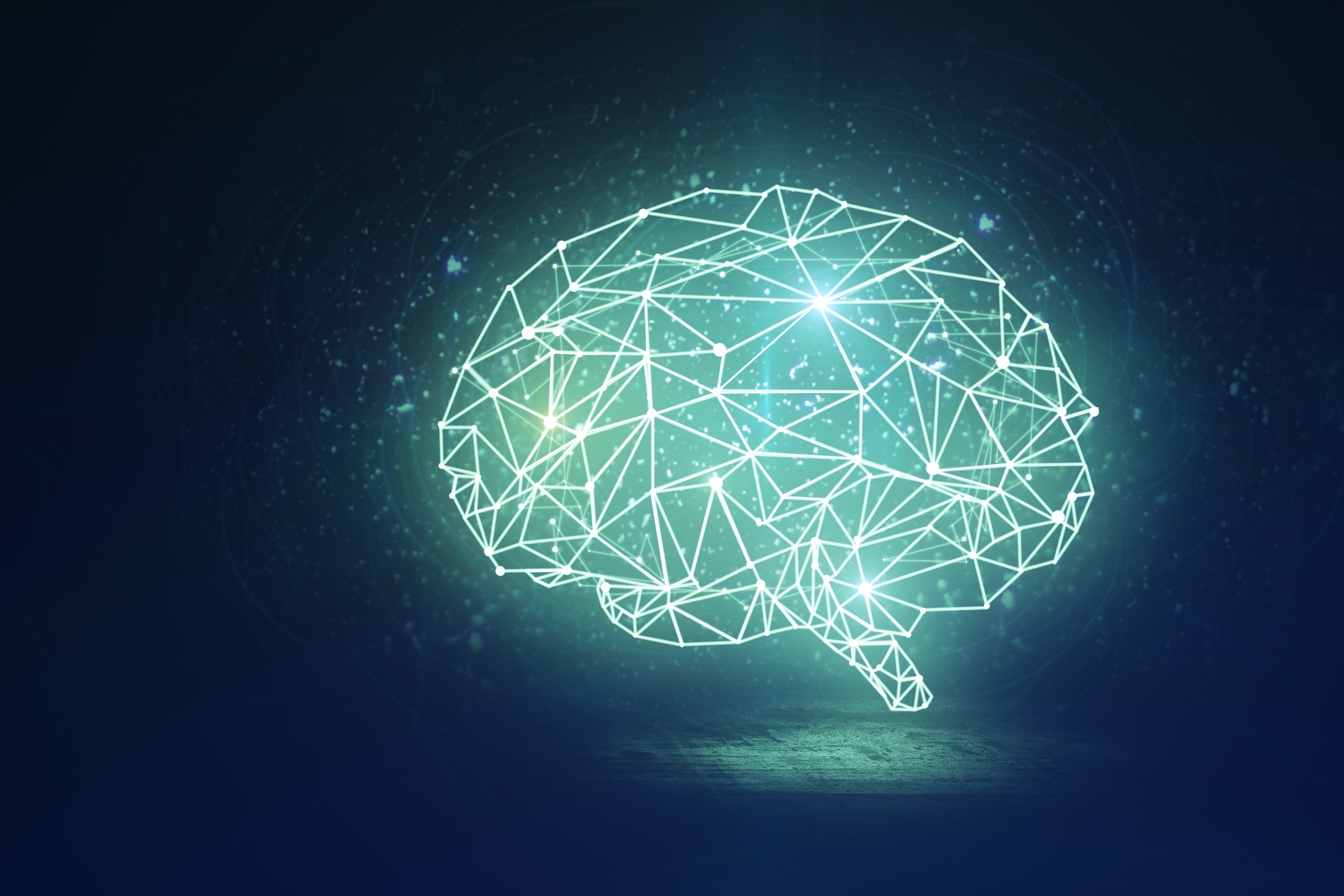 brain image