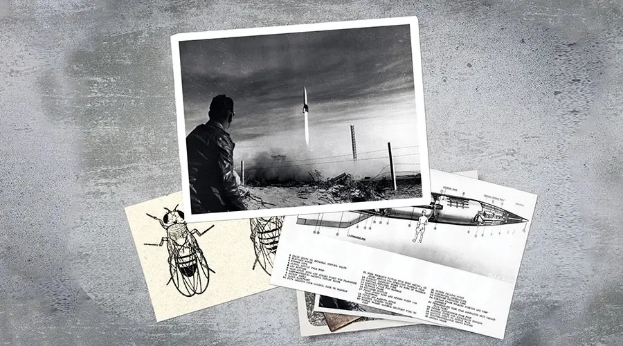 image of rockets into space and fruit flies