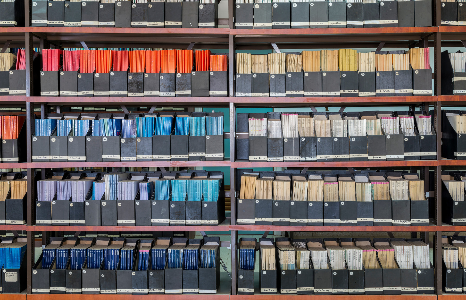 A library aisle of published abstracts and periodicals
