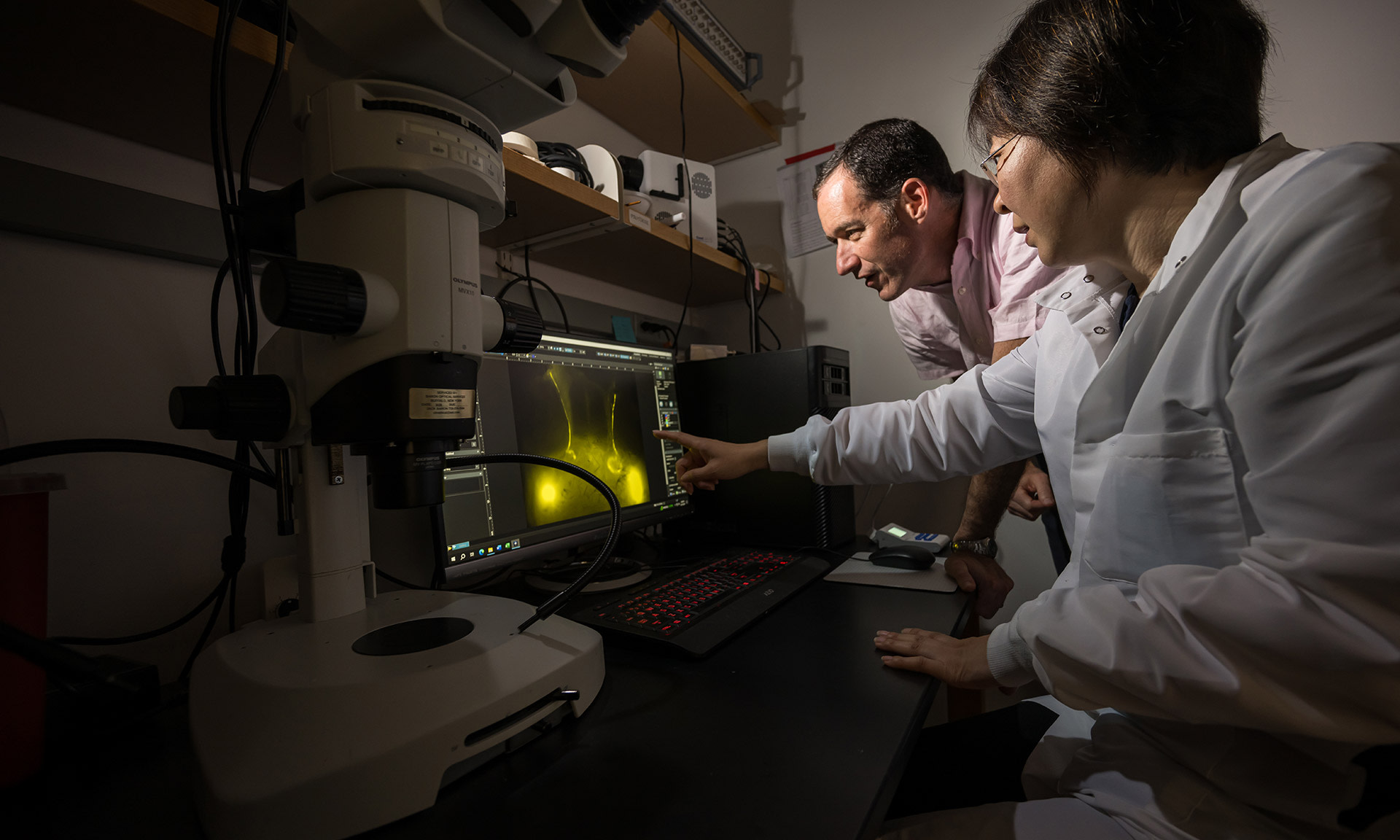 At a desk under shelves stacked with equipment, two researchers, Doug Kelley and Ting Du, lean over a computer screen. The screen displays fluid flow in a person’s neck, which is bright yellow. Tu points at the screen while Kelley looks on.
